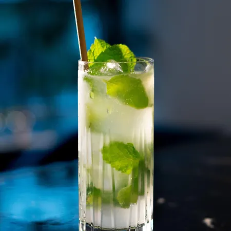 Hotel Sana Capitol 3*